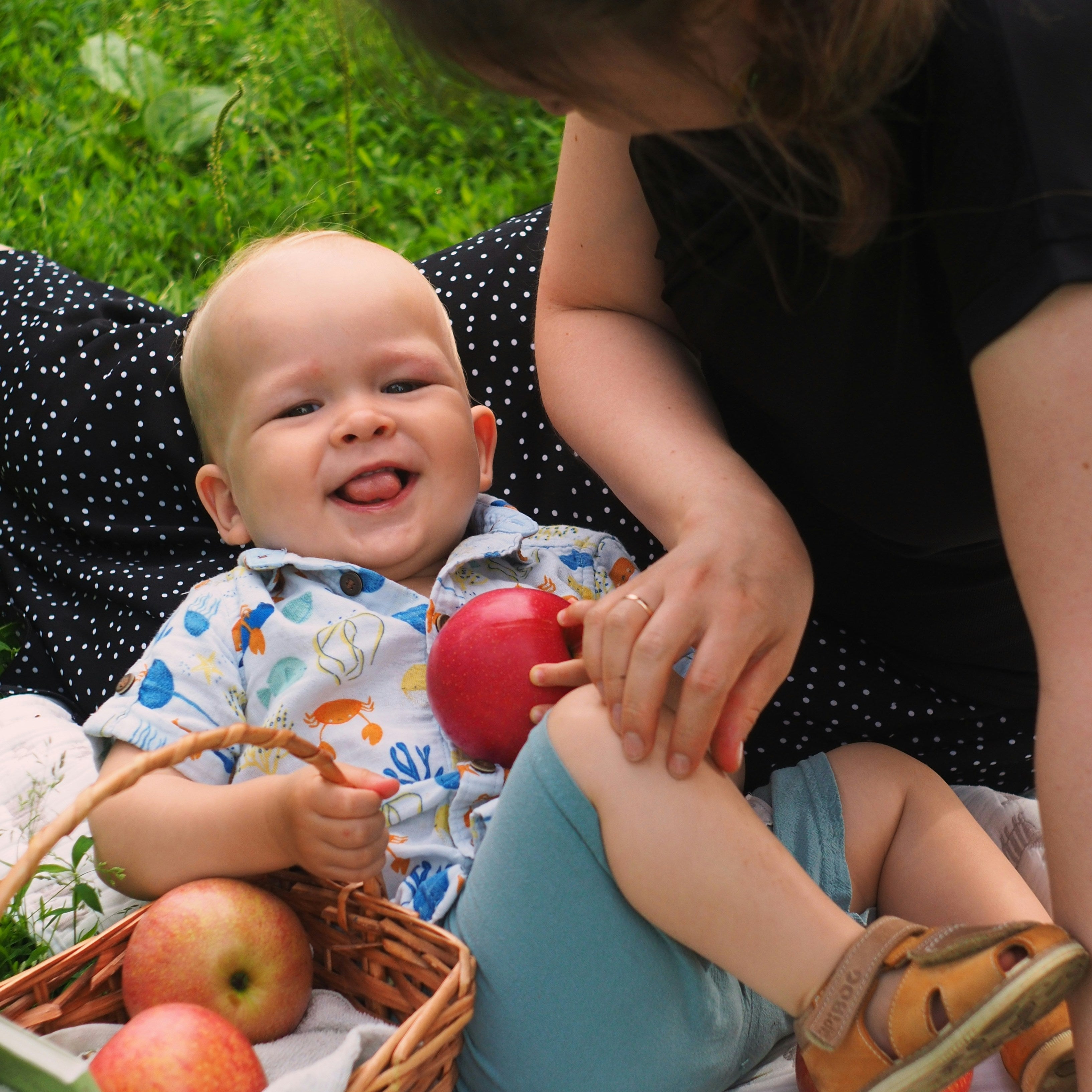 10 tips for transitioning to solids