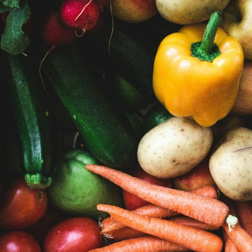 Plant Proteins: Essential for Child Nutrition - Petite Palates