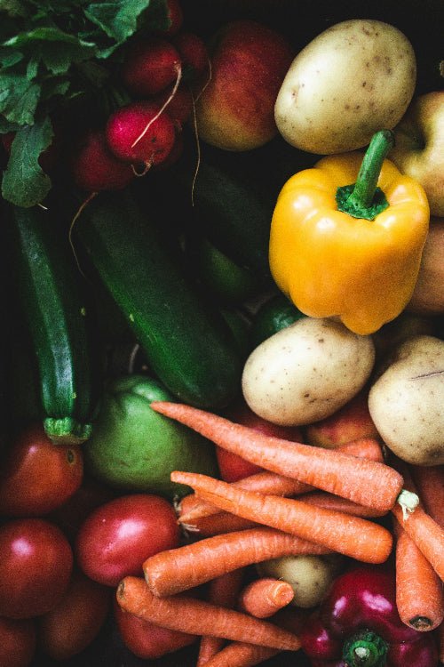 Plant Proteins: Essential for Child Nutrition - Petite Palates
