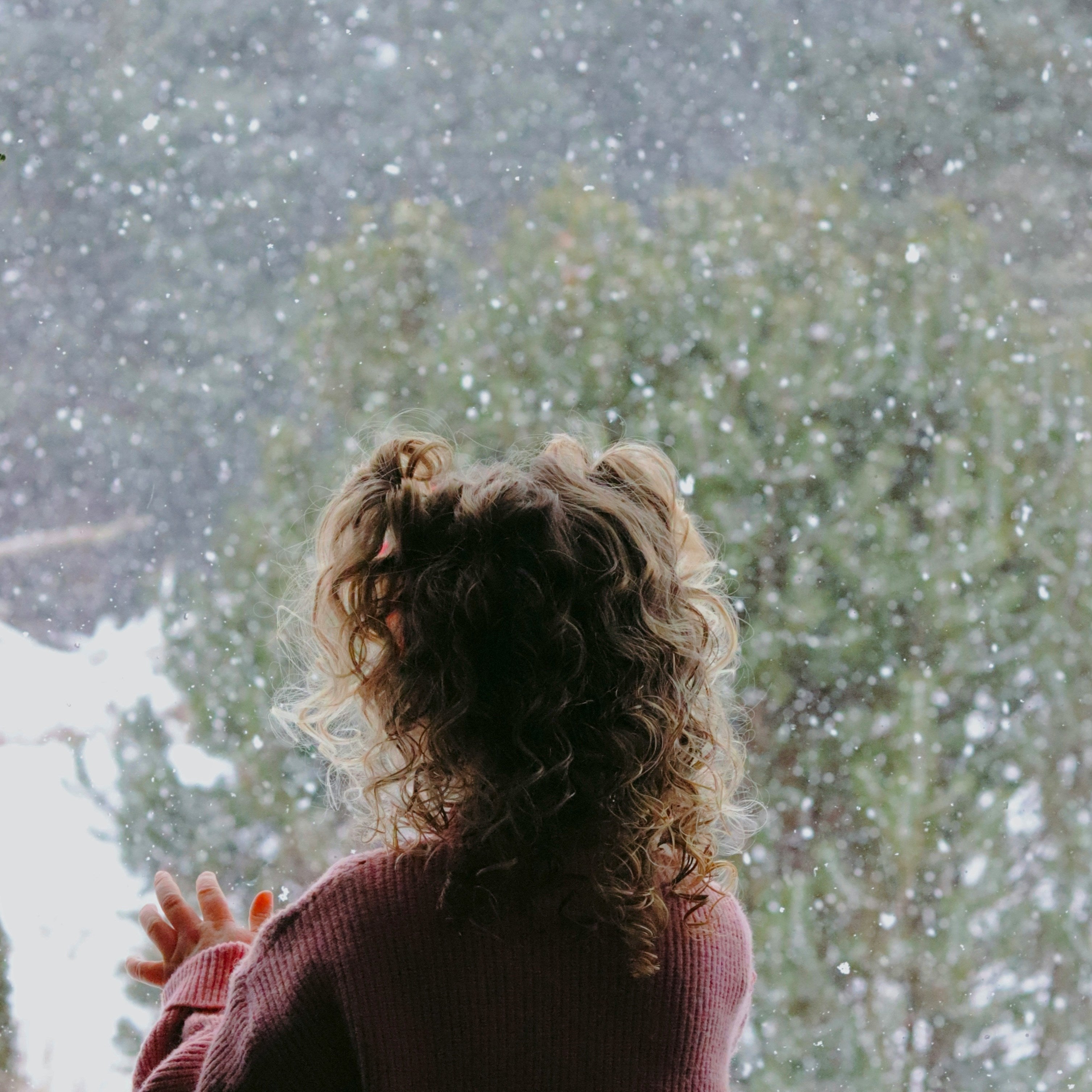 Winter Snack System: Low-Sugar, High-Fiber Snacks That Travel Well - Petite Palates